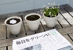 Từ một tờ báo, bạn có thể cho ra đời cả một vườn hoa xinh đẹp trong nhà!