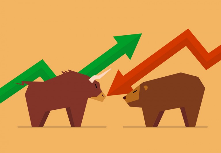 thị trường bò gấu