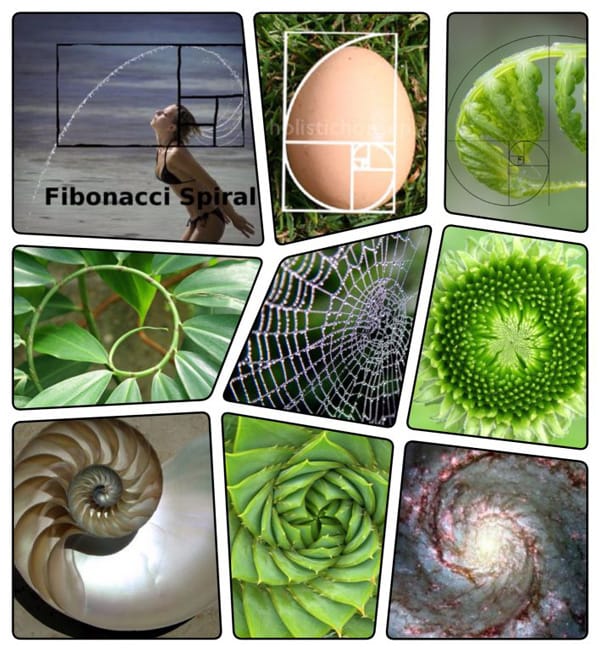 fibonacci trong giao dịch sóng elliott