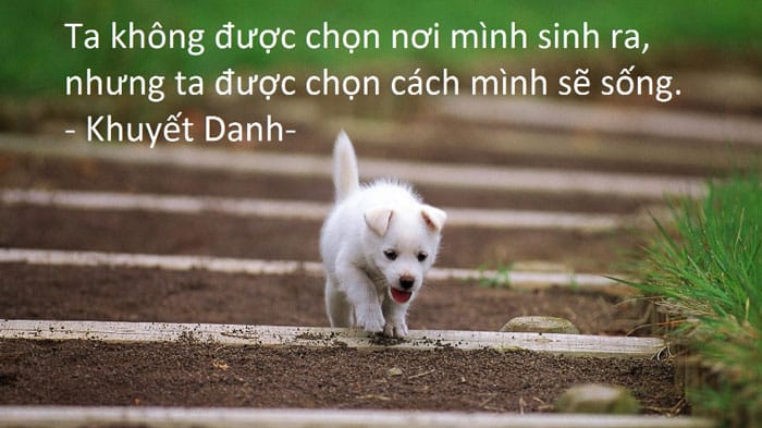 Chúng ta được chọn cách mình sẽ sống.