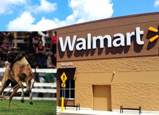 cú ngã ngựa Walmart tại Nhật Bản
