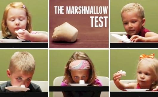 Marshmallow Test)