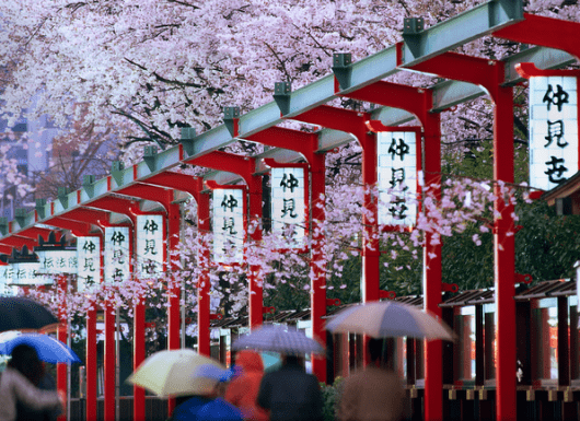 4 quan niệm của người Nhật Bản truyền cảm hứng cho cuộc sống thường ngày