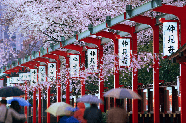 4 quan niệm của người Nhật Bản truyền cảm hứng cho cuộc sống thường ngày