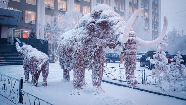 Nếu như mùa đông ở Yakutsk khắc nghiệt vì lạnh cóng, vào mùa hè, nhiệt độ nơi đây thường ở mức trên 30 độ C.