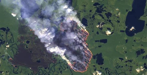 Rừng Amazon cháy âm ỉ suốt 3 tuần, xót xa nhìn muông thú quằn quại trong biển lửa