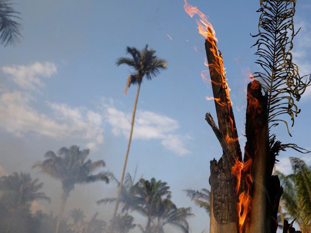 Thảm họa của thế kỉ 21: Rừng Amazon có thể tự dập lửa nhưng bị chính con người “bức tử” và sự trả thù của thiên nhiên sẽ vô cùng tàn khốc