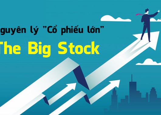 Nguyên lý "Cổ phiếu lớn": The Big Stock