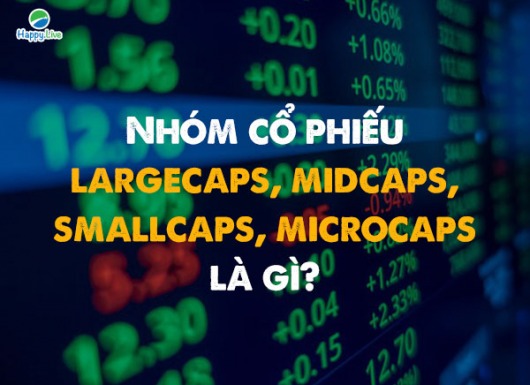 Nhóm cổ phiếu Largecap, Midcap, Smallcap, Microcap là gì?