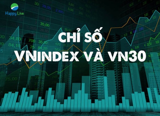 Chỉ số VN-Index và VN30