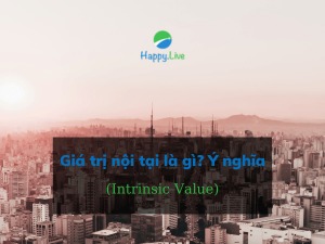 Giá trị nội tại (Intrinsic Value) là gì? Ý nghĩa