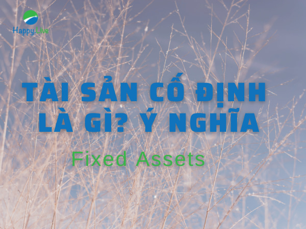 Tài sản cố định (Fixed Assets) là gì? Ý nghĩa 