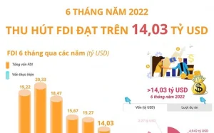 infographic-6-thang-nam-2022-thu-hut-fdi-dat-tren-1403-ty-usd-happy-live-1