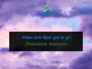 Phân tích định giá (Valuation Analysis) là gì? Đặc điểm phân tích định giá