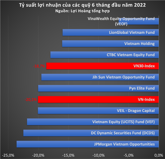 quy-dau-tu-ngoai-chat-vat-nua-dau-2022-happy-live-1