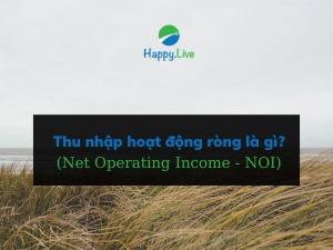 Thu nhập hoạt động ròng (Net Operating Income - NOI) là gì? Công thức tính NOI