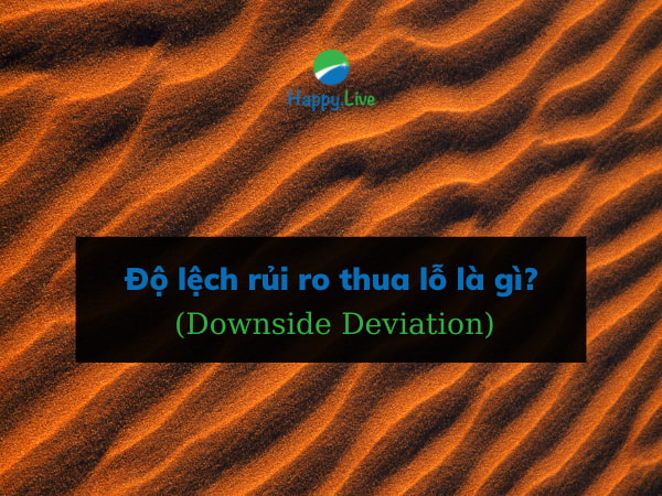 Độ lệch rủi ro thua lỗ (Downside Deviation) là gì? Ví dụ