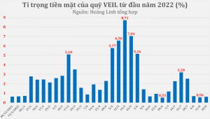 Quỹ lớn nhất thị trường VEIL ‘full cổ’, hết dư địa giải ngân 3 tuần gần đây