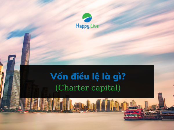Vốn điều lệ (Charter capital) là gì? Bổ sung vốn điều lệ từ ngân sách nhà nước