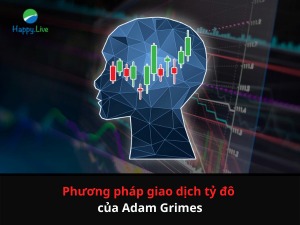 Phương pháp giao dịch tỷ đô của Adam Grimes