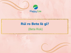 Rủi ro Beta (Beta Risk) là gì? Rủi ro Beta so và hệ số Beta