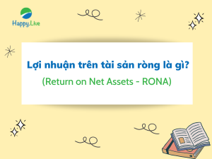Lợi nhuận trên tài sản ròng (Return on Net Assets - RONA) là gì? Công thức tính