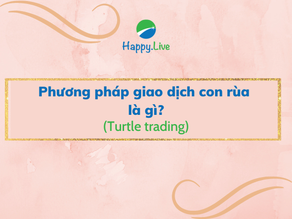 Phương pháp giao dịch con rùa (Turtle trading) là gì? Đặc điểm