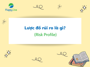 Lược đồ rủi ro (Risk Profile) là gì? Đặc trưng, ý nghĩa của lược đồ rủi ro