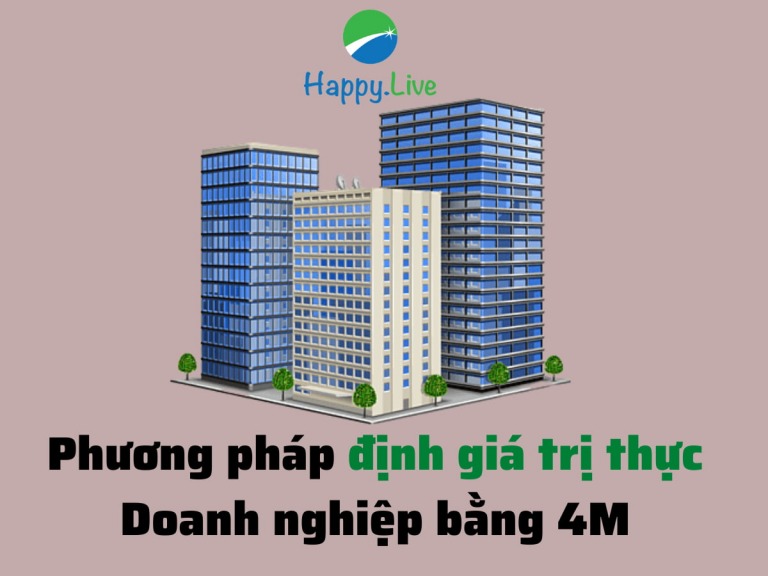 phuong-phap-4m-xac-dinh-gia-tri-noi-tai-cua-doanh-nghiep-hay-gia-ca-de-dau-tu-happy-ive-3