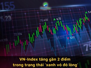 Thị trường chứng khoán (2/2): Kéo trụ, VN-Index tăng gần 2 điểm trong trạng thái 'xanh vỏ đỏ lòng'
