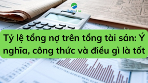 Tỷ lệ tổng nợ trên tổng tài sản Ý nghĩa, công thức và điều gì là tốt