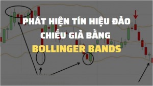 bollinger-bands-chien-luoc-giao-dich-dao-chieu-va-phat-hien-tin-hieu-dao-chieu-gia-happy-live-8