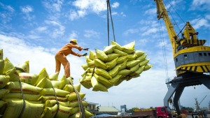 Bộ Nông nghiệp đề xuất Thủ tướng ra Chỉ thị về tăng cường xuất khẩu gạo trong tình hình mới - Happy Live