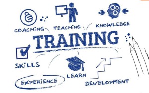 Quy trình 7 bước đào tạo và huấn luyện nhân viên hiệu quả