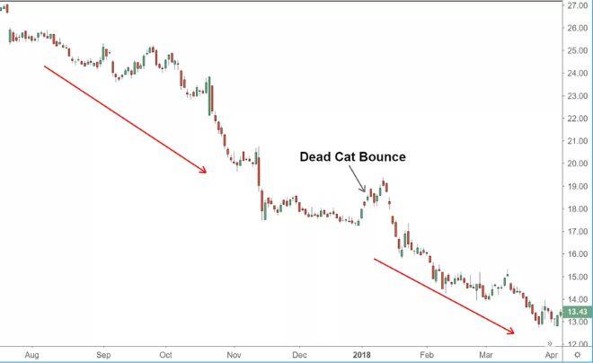 Dead cat bounce là gì? Cách nhận biết bẫy Dead cat bounce trong chứng khoán