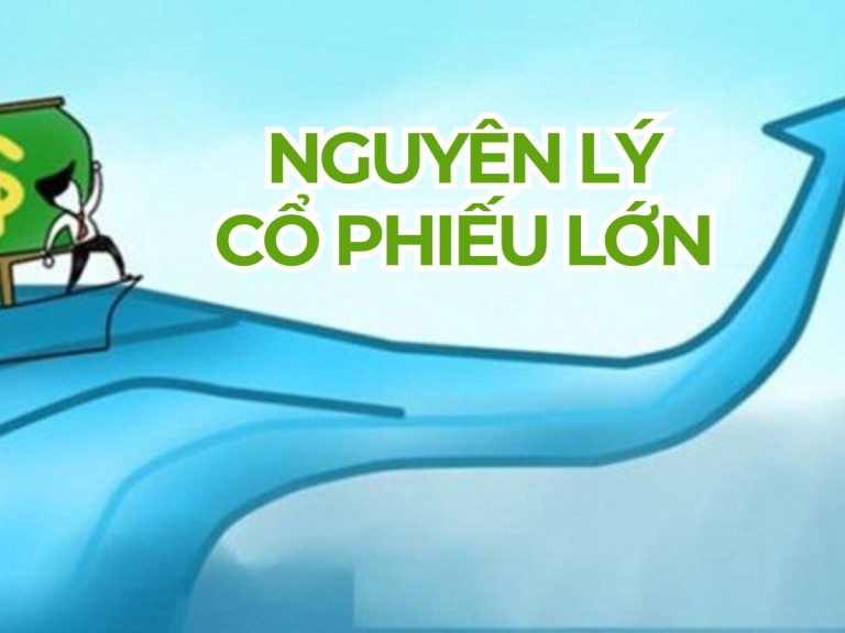 su-ra-doi-cua-nguyen-ly-co-phieu-lon-happy-live-3