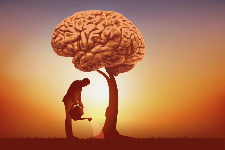 Chuyển hóa tâm thức là gì? Hành trình đến hạnh phúc bền vững. H2