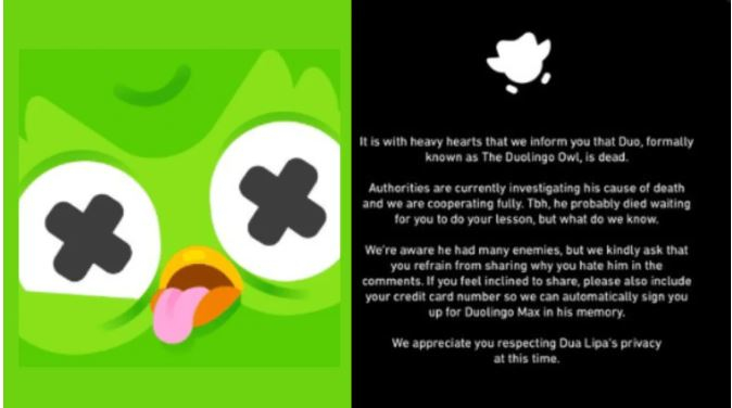 Chiến dịch Marketing của Duolingo