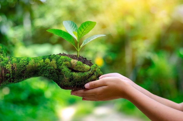  Di truyền học biểu sinh và ảnh hưởng từ lối sống. H4