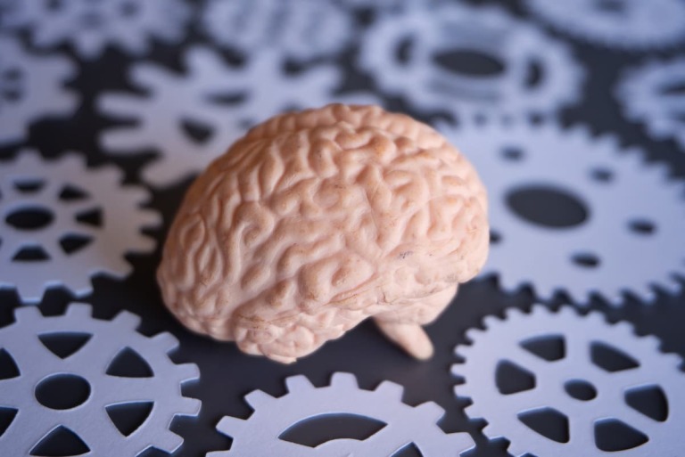  Khả biến thần kinh và trí nhớ: Bí quyết tập trung hơn. H1