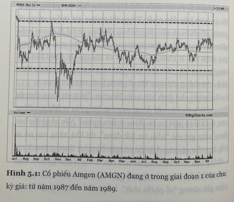 he-thong-dau-tu-mark-minervini-4-giai-doan-chu-ky-gia-dung-bo-lo-giai-doan-2-tang-toc-trong-hanh-trinh-cua-sieu-co-phieu-happy-live-8