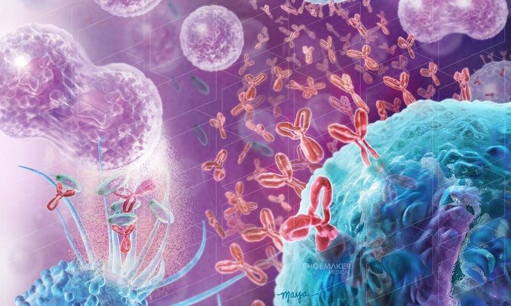 Hệ miễn dịch là gì và vai trò của nó