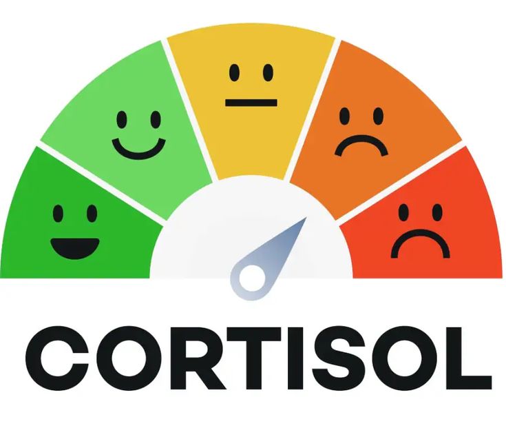 Hormone của sức bền: cortisol, dopamine và endorphin. H1