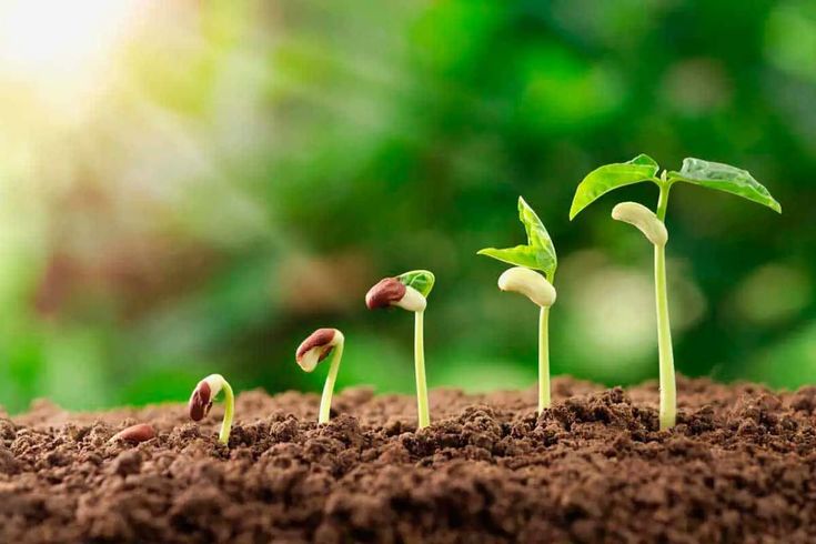 Tiny Habits là gì? Thói quen nhỏ tạo thay đổi lớn. H2