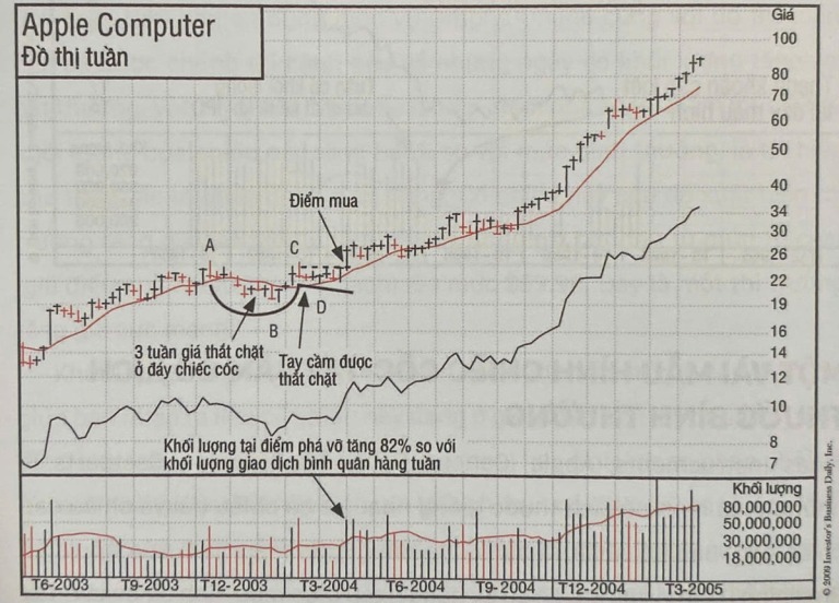 cach-kiem-loi-nhuan-18-000-su-dung-do-thi-gia-la-cach-kham-pha-nha-dau-tu-to-chuc-dang-thu-gom-tich-luy-co-phieu-happy-live-1