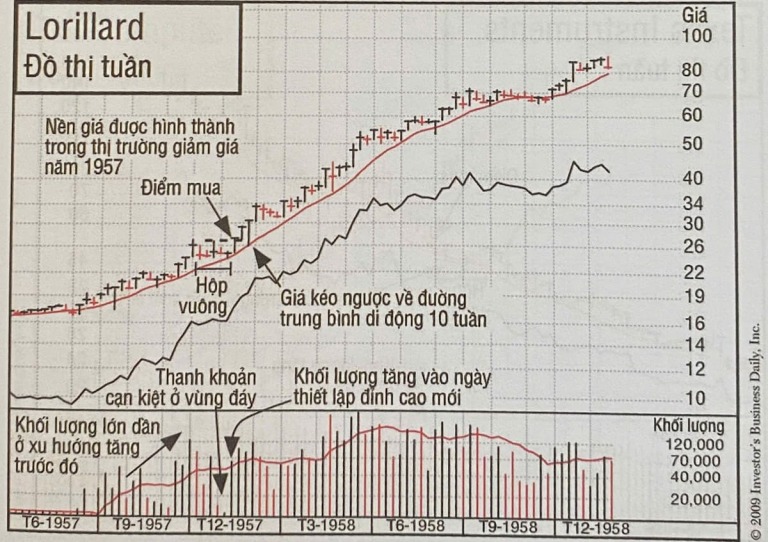 cach-kiem-loi-nhuan-18-000-su-dung-do-thi-gia-la-cach-kham-pha-nha-dau-tu-to-chuc-dang-thu-gom-tich-luy-co-phieu-happy-live-2