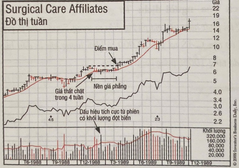 cach-kiem-loi-nhuan-18-000-su-dung-do-thi-gia-la-cach-kham-pha-nha-dau-tu-to-chuc-dang-thu-gom-tich-luy-co-phieu-happy-live-3