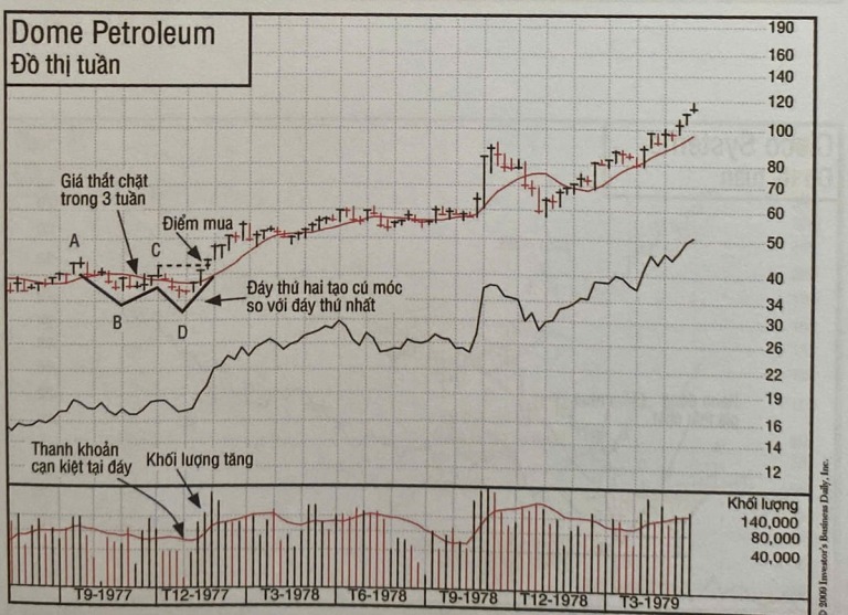 cach-kiem-loi-nhuan-18-000-su-dung-do-thi-gia-la-cach-kham-pha-nha-dau-tu-to-chuc-dang-thu-gom-tich-luy-co-phieu-happy-live-4